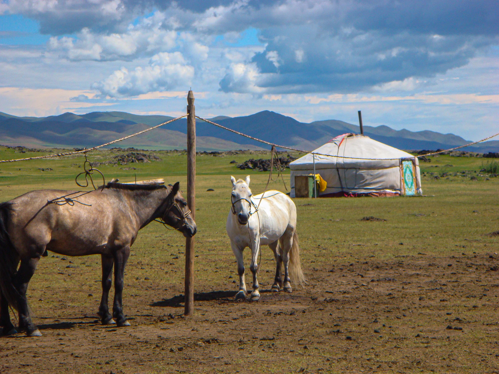 Ulaanbaatar, Mongolia photo 15 by Tengis Galamez