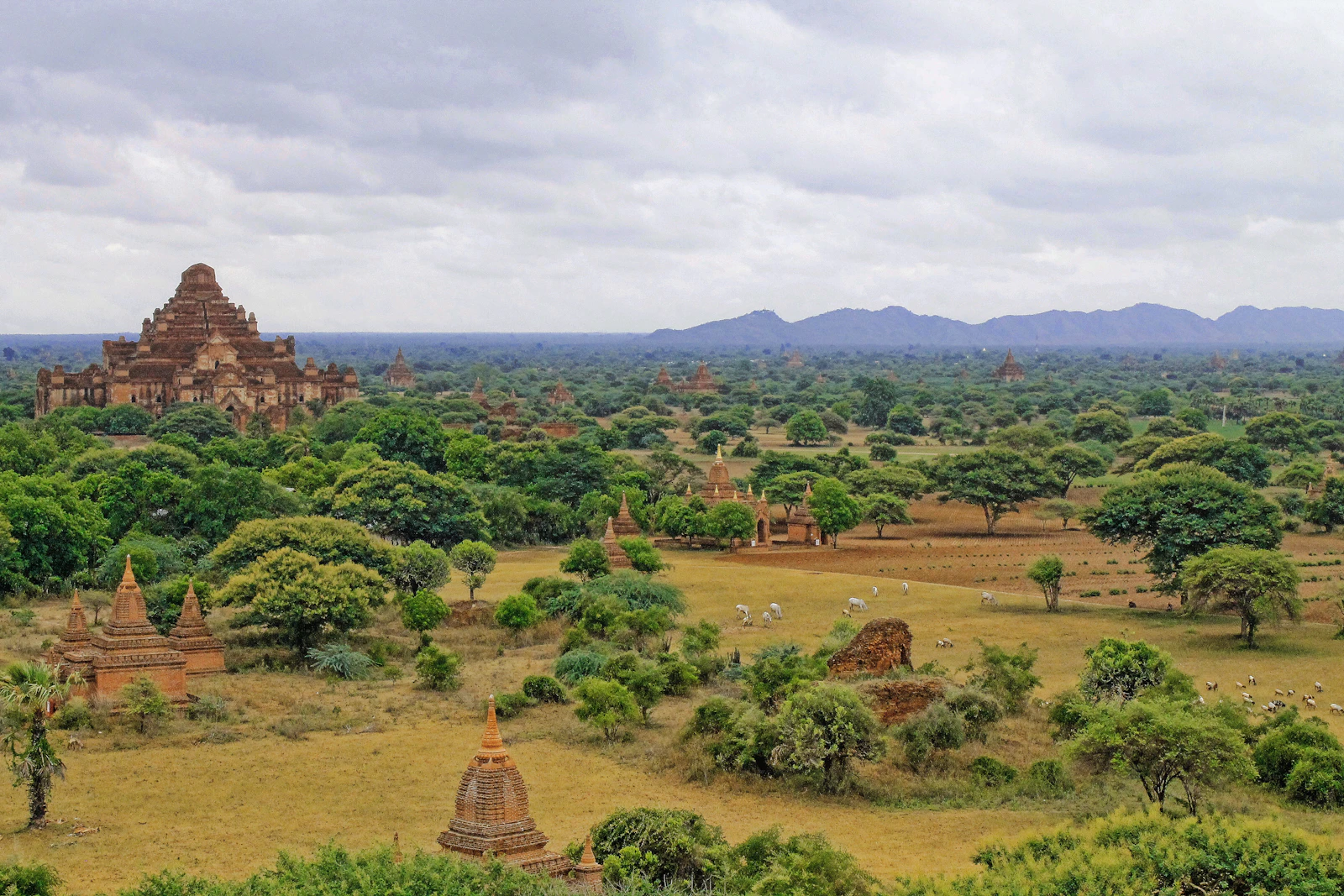 Bagan, Myanmar photo 9 by Roxanne Desgagnés