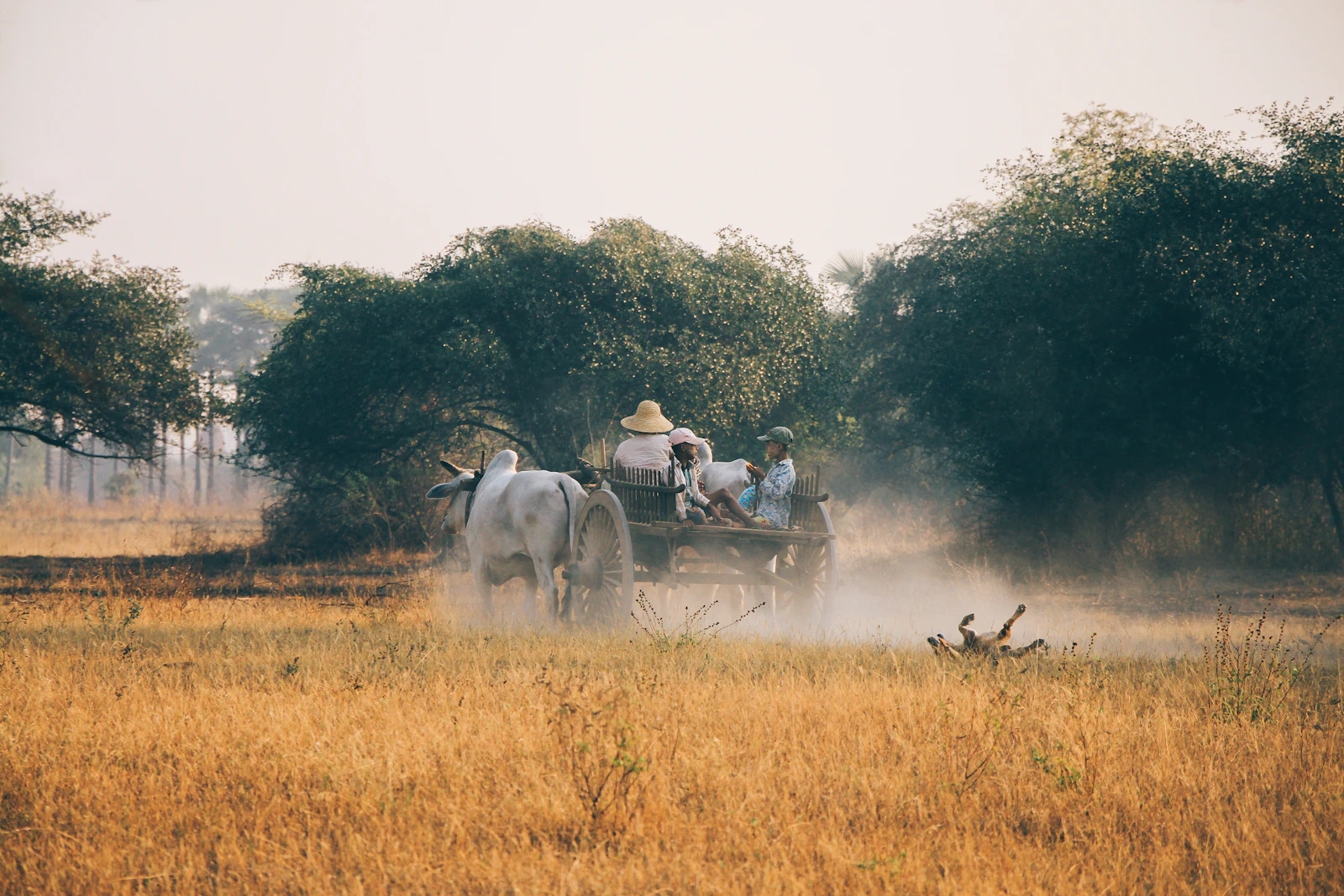 Bagan, Myanmar photo 12 by Dinis Bazgutdinov
