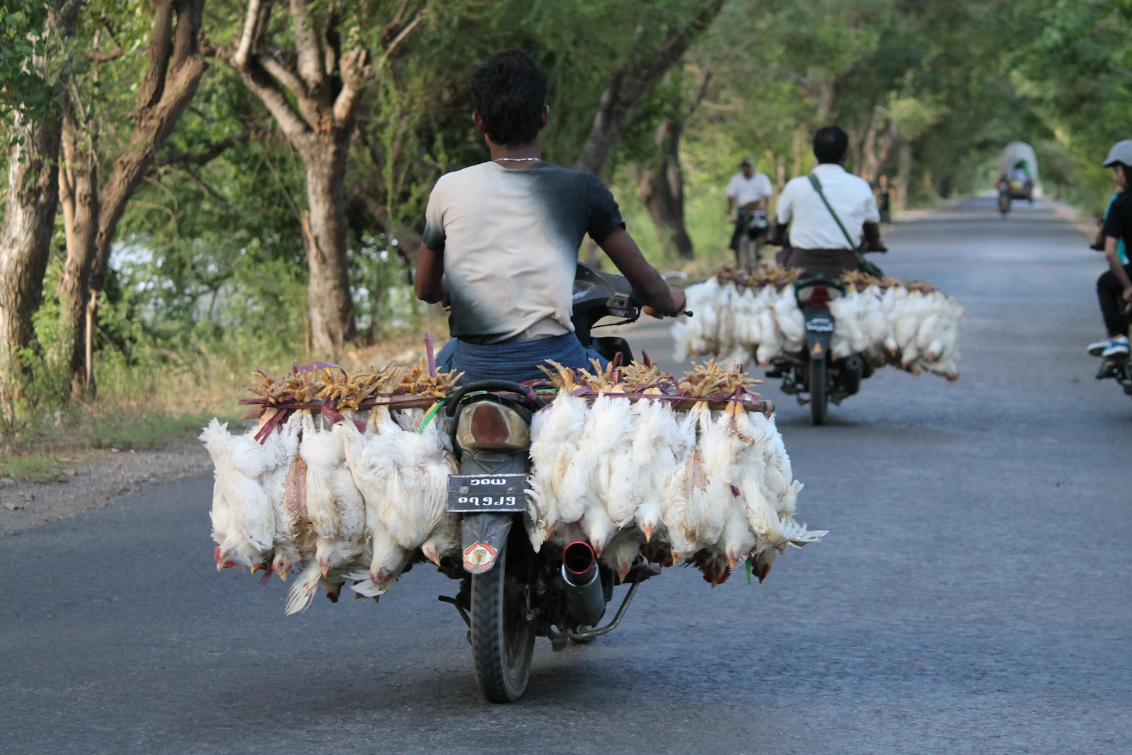 Mandalay, Myanmar photo 28 by Nathan Cima