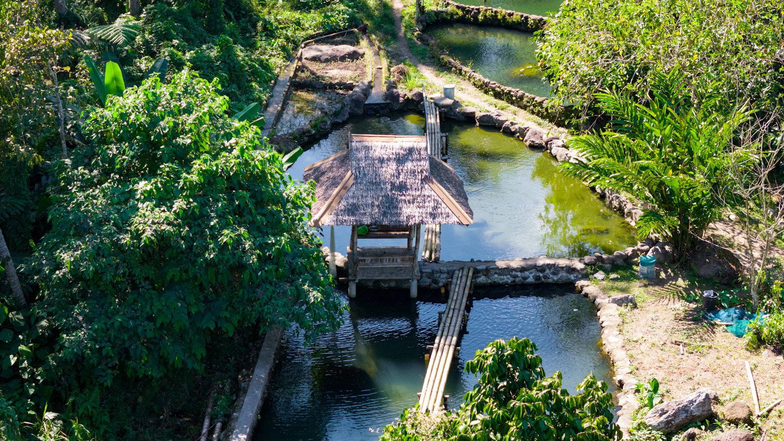 Cebu, Philippines photo 19 by XT7 Core