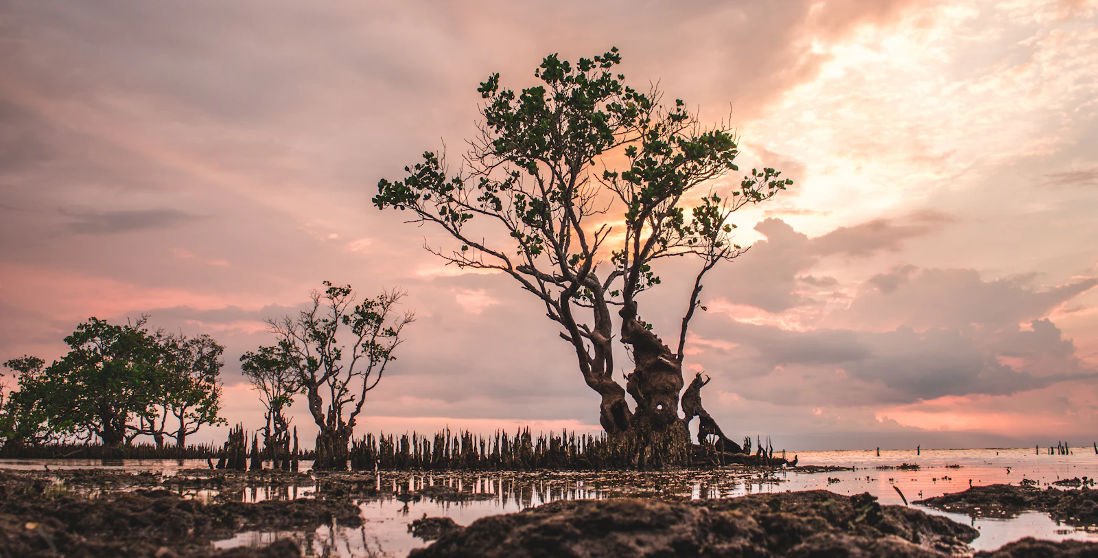 Tagbilaran, Philippines travel photo