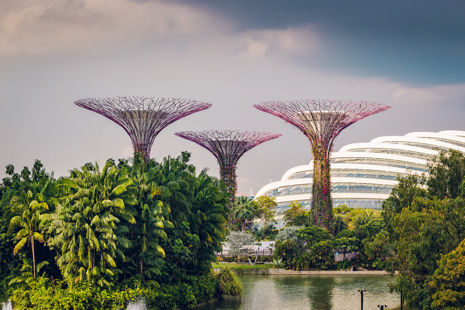 Singapore, Singapore photo 17 by Daniel Welsh