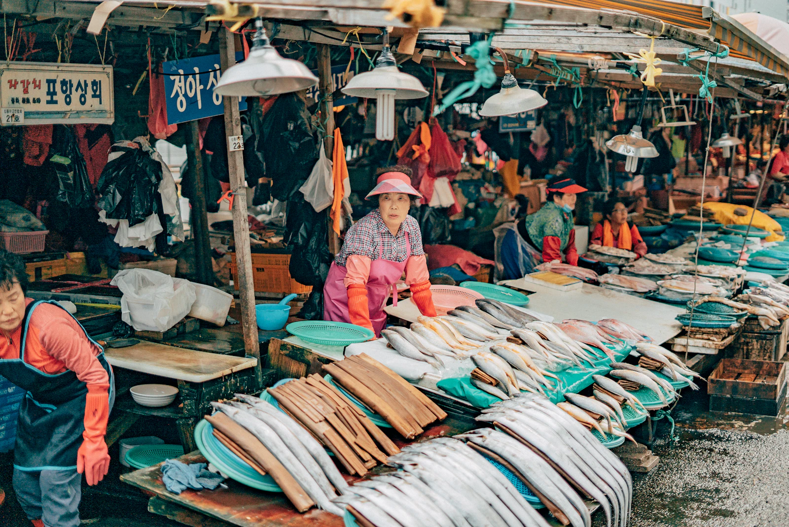 Busan, South Korea photo 14 by Daniel Bernard