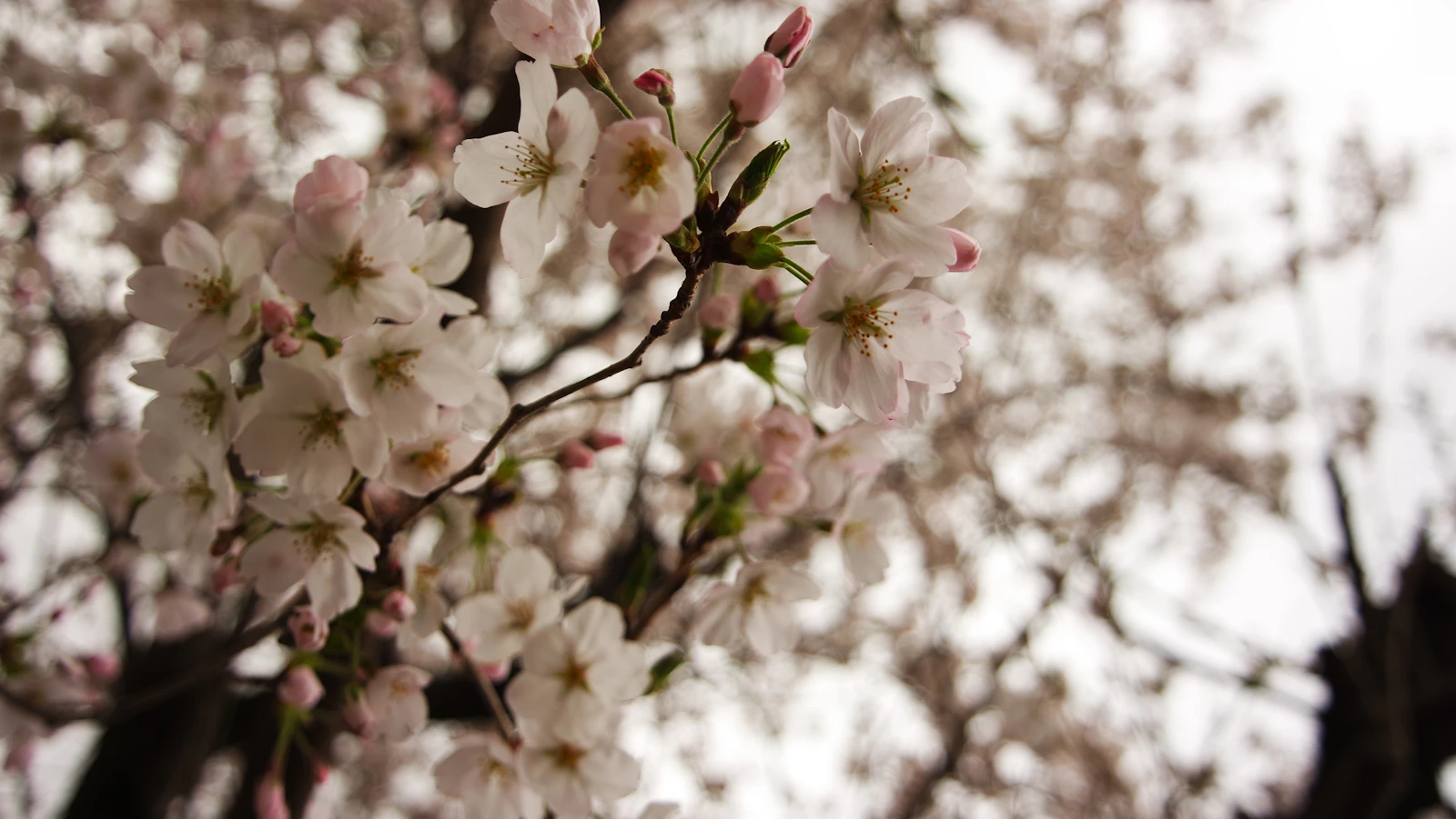 Gyeongju, South Korea photo 29 by Haein Kim