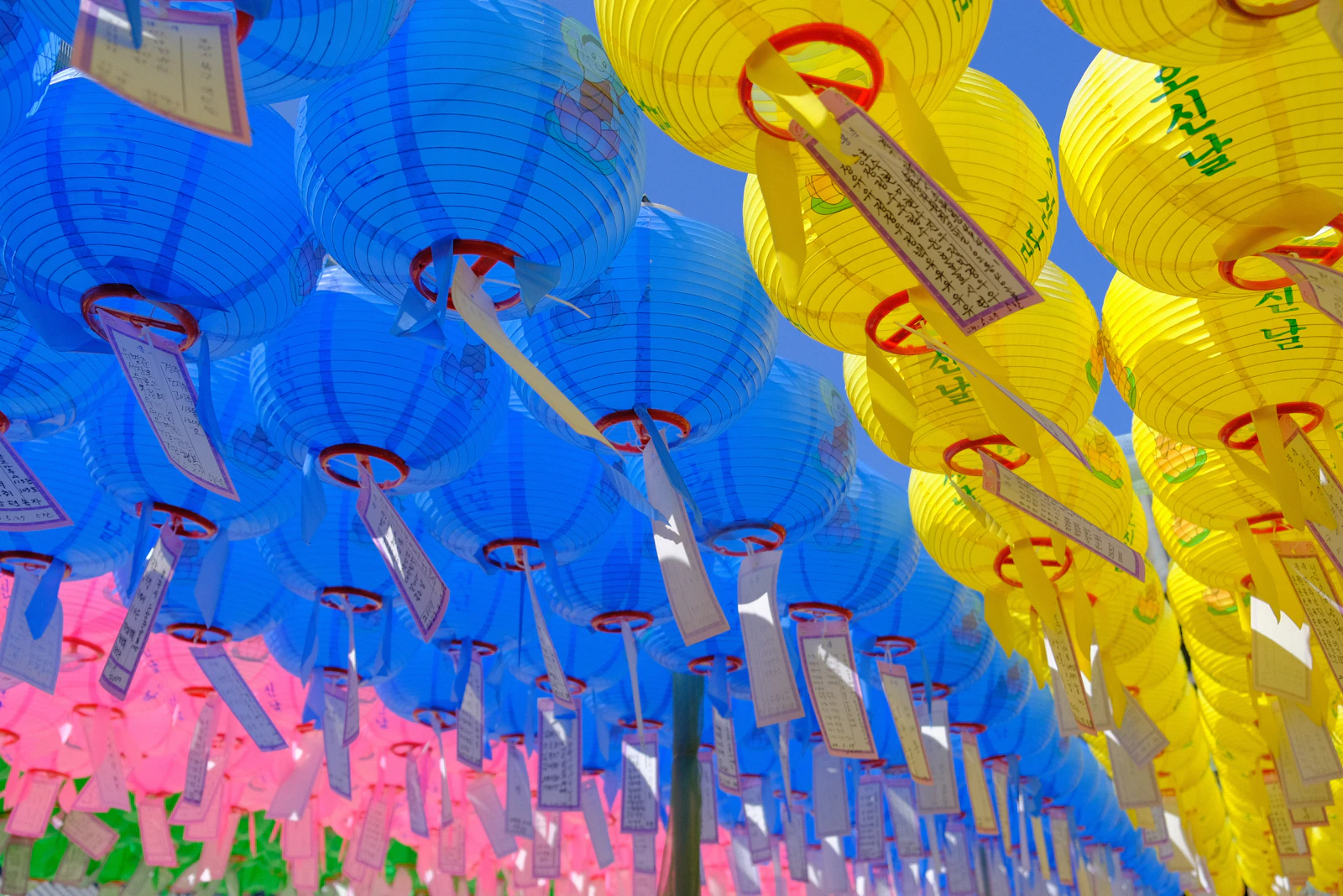 Gyeongju, South Korea photo 17 by Austin Curtis