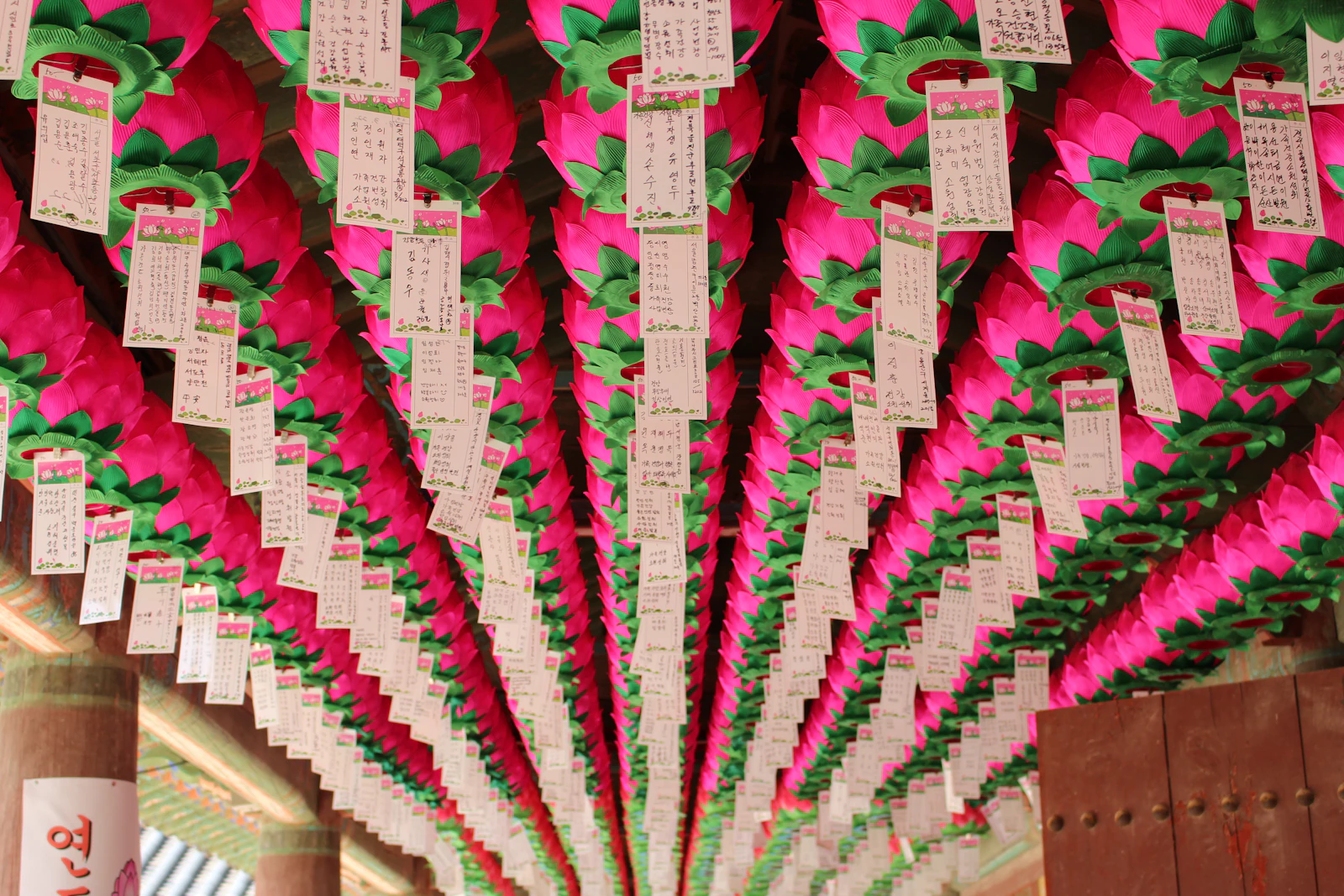 Gyeongju, South Korea photo 11 by Chang Patrick