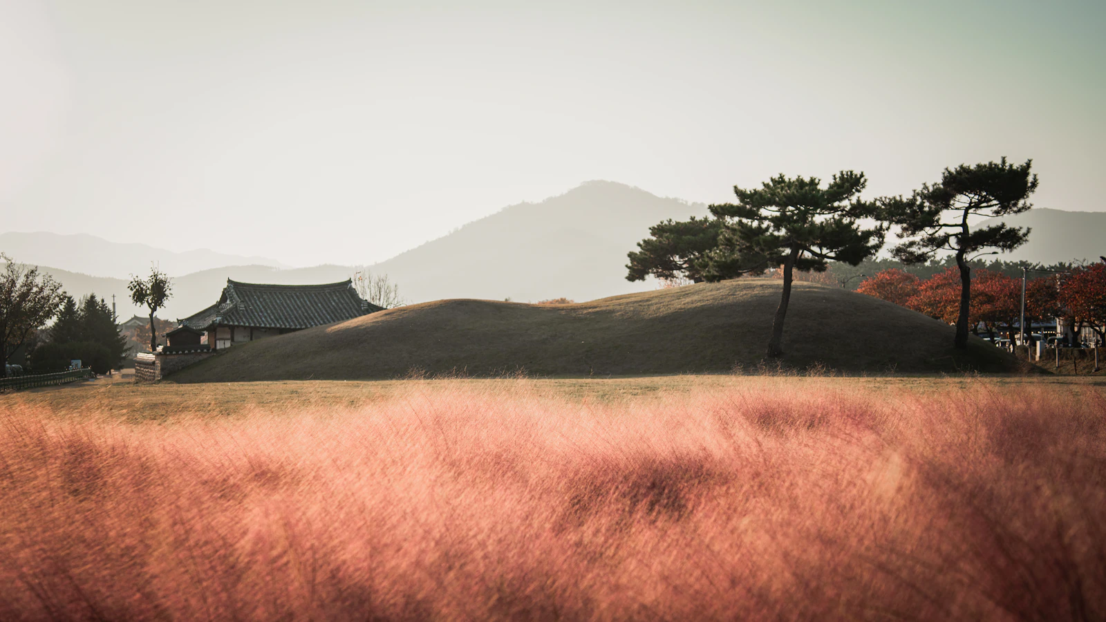 Gyeongju, South Korea travel photo