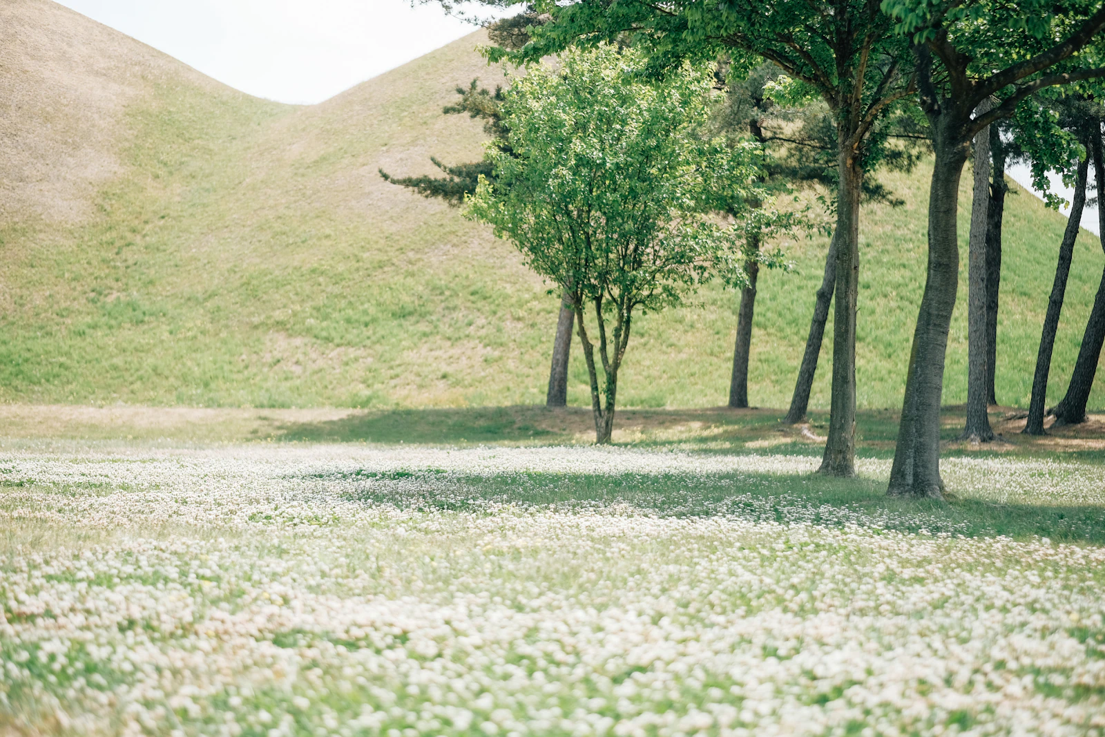 Gyeongju, South Korea photo 21 by insung yoon