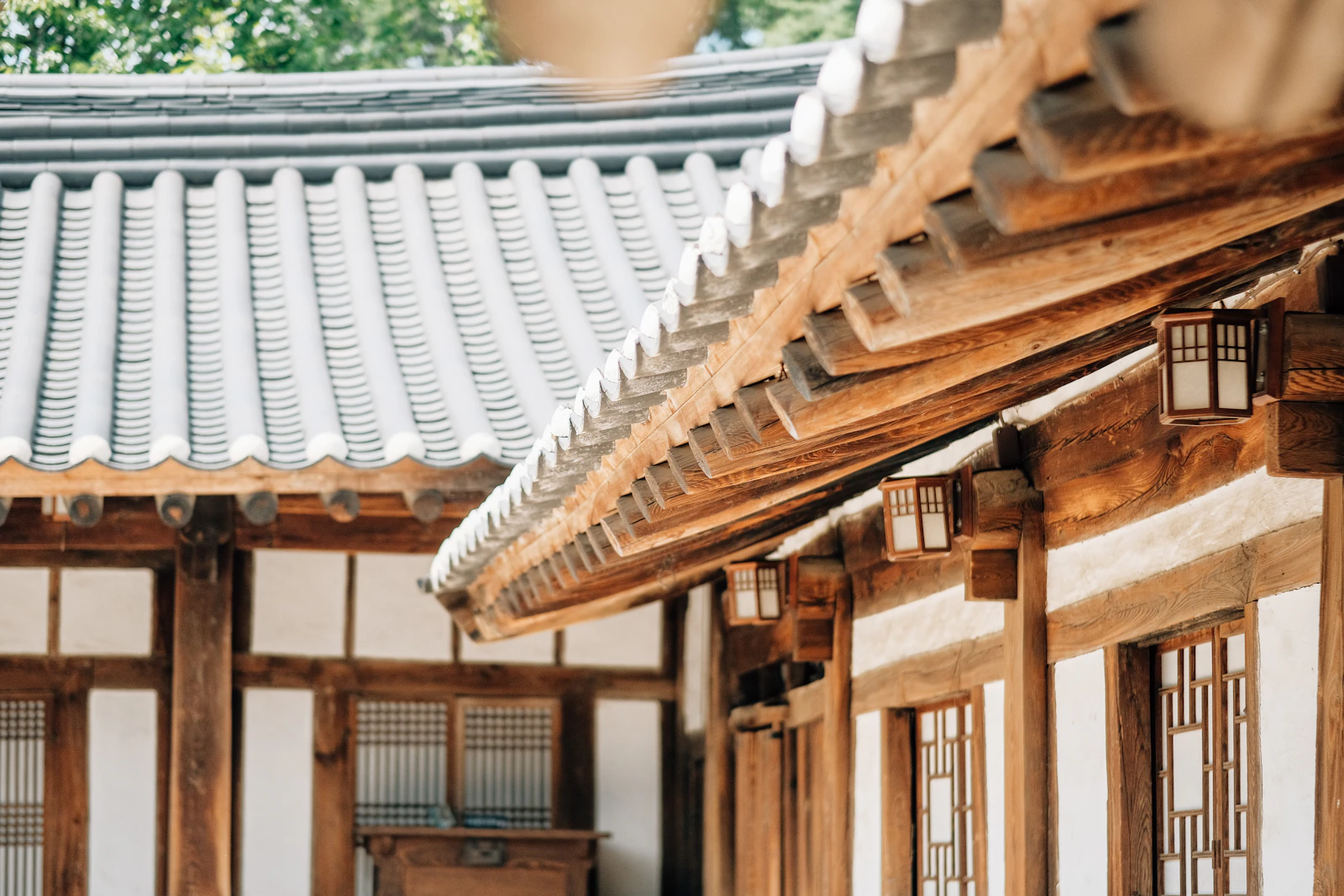 Gyeongju, South Korea photo 4 by insung yoon