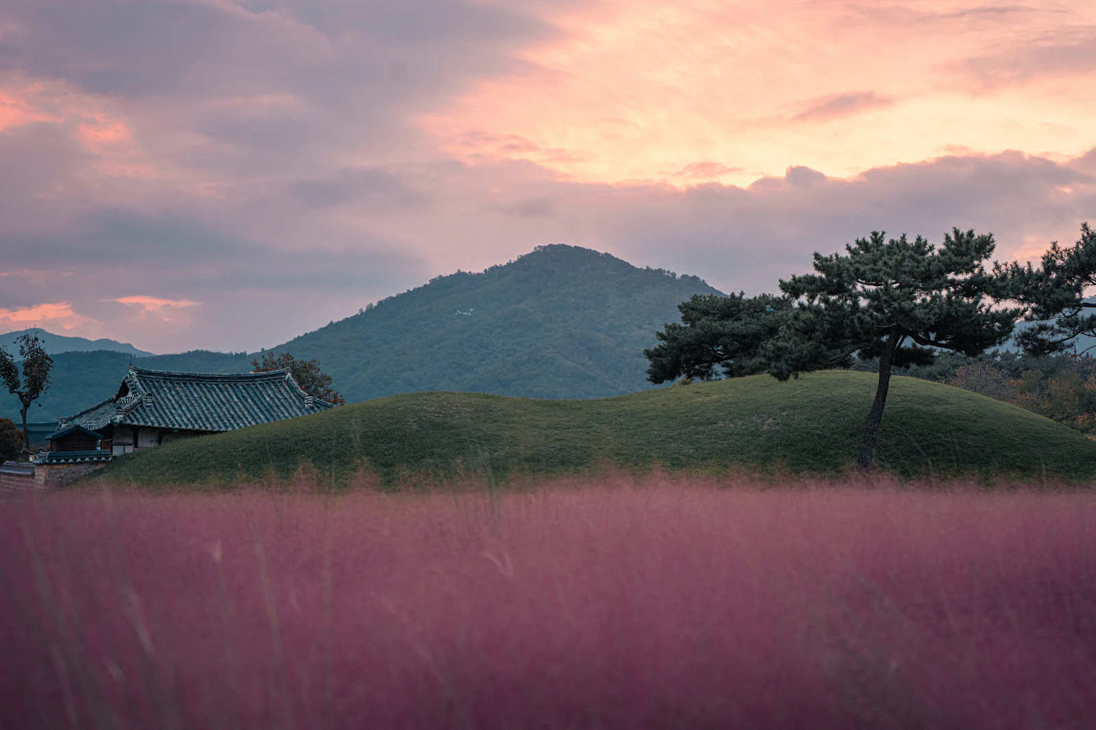 Gyeongju, South Korea photo 3 by Dmitry Voronov