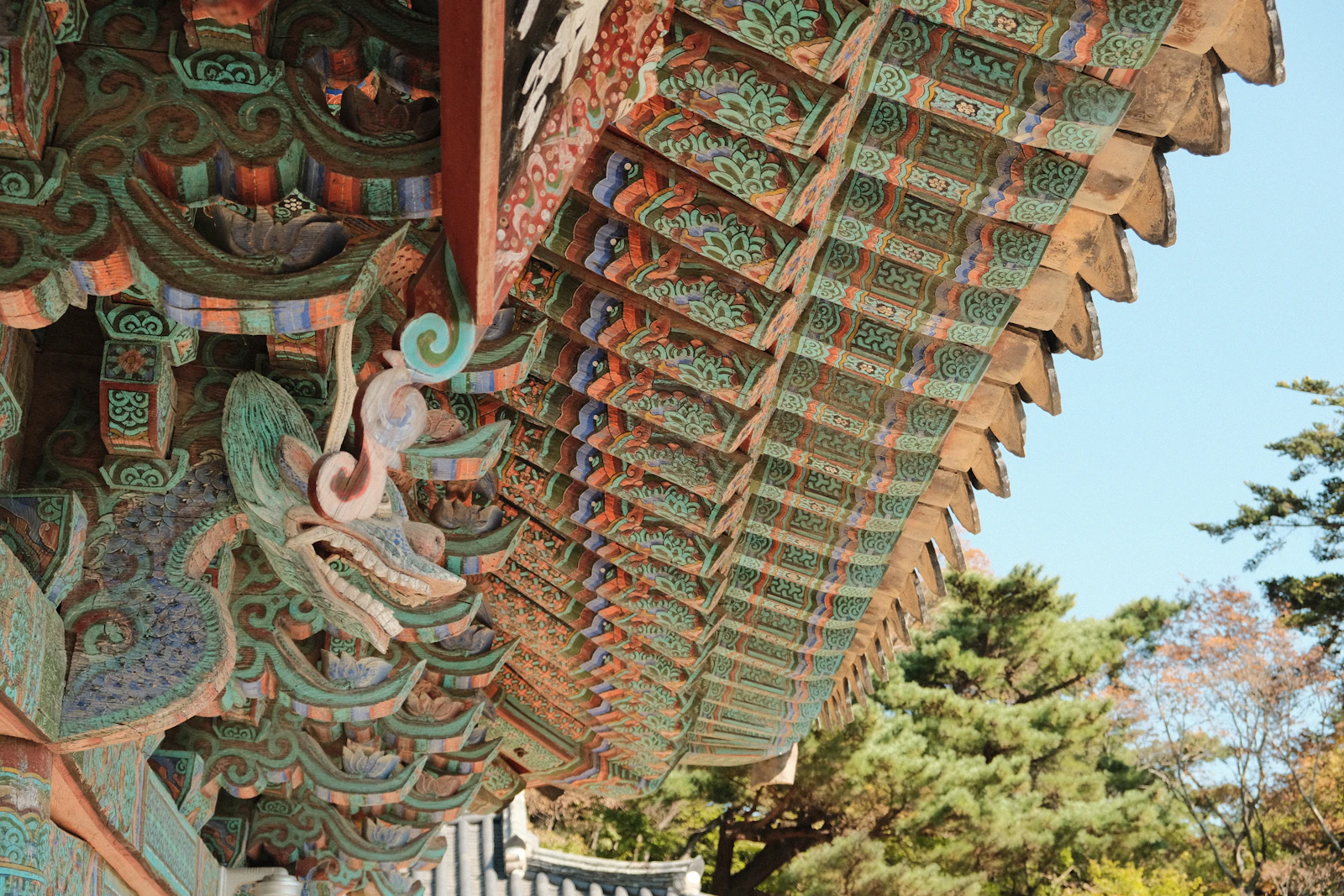 Gyeongju, South Korea photo 2 by Austin Curtis