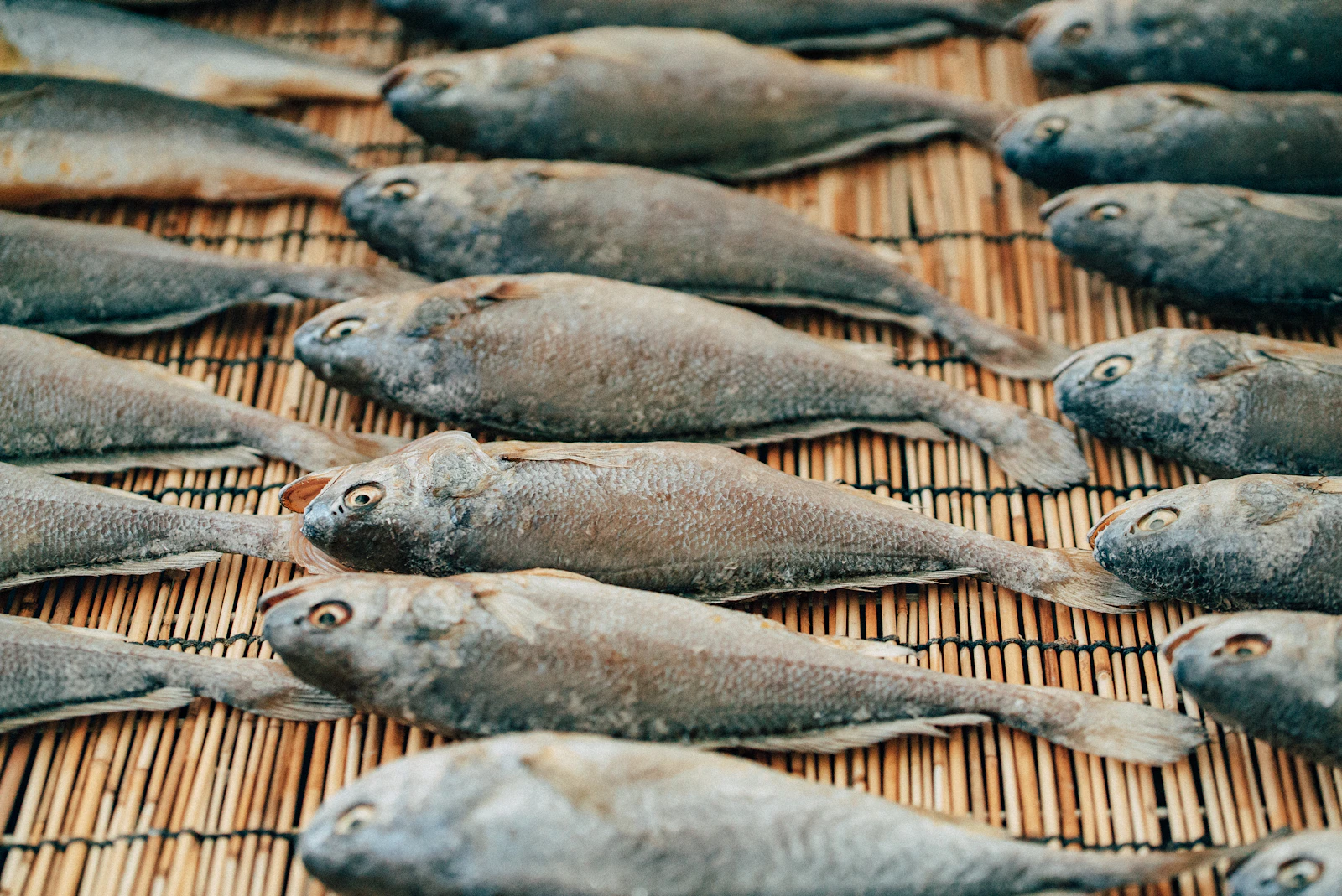 Incheon, South Korea photo 14 by Daniel Bernard
