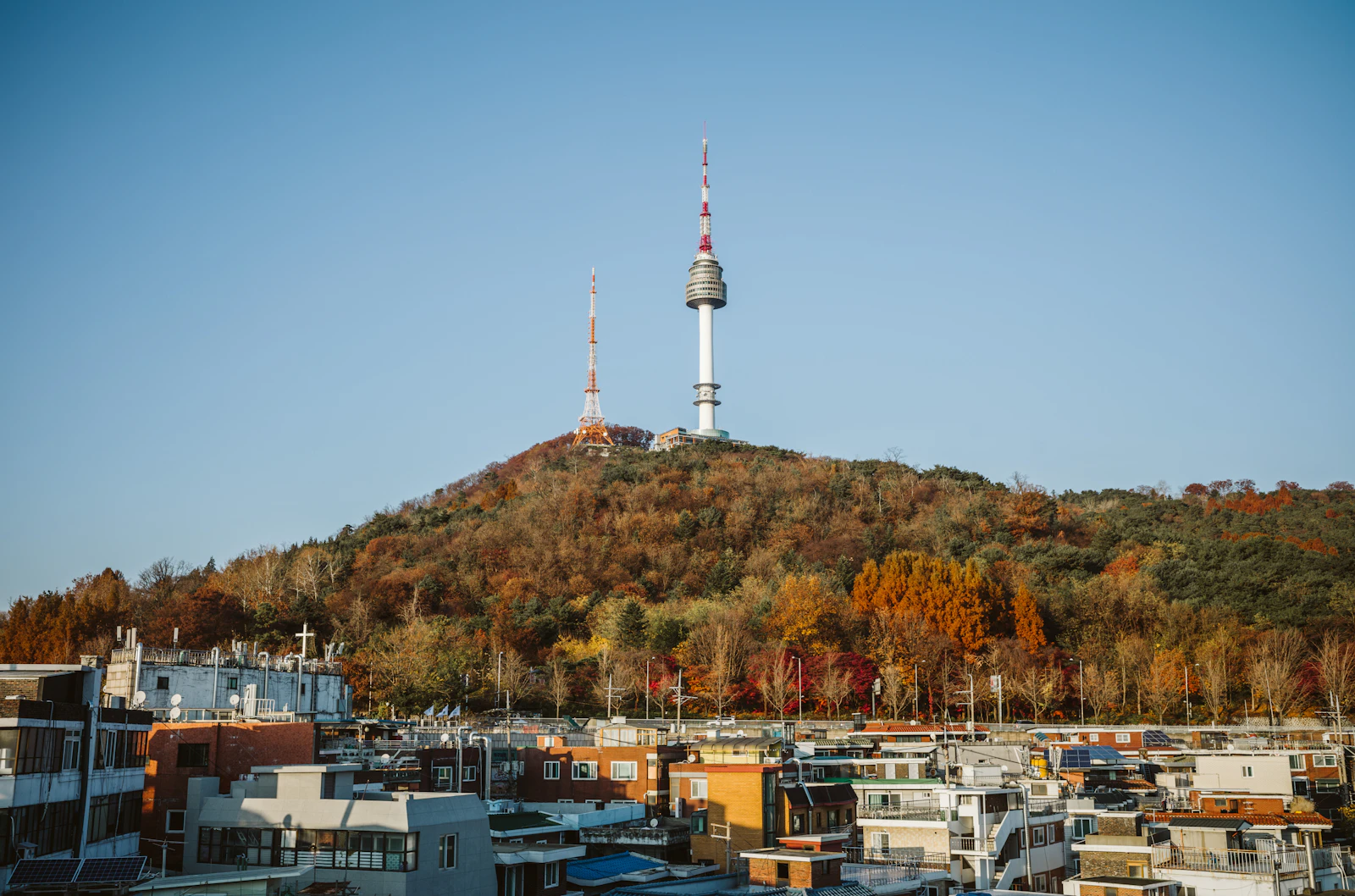 Seoul, South Korea photo 17 by Oat Appleseed