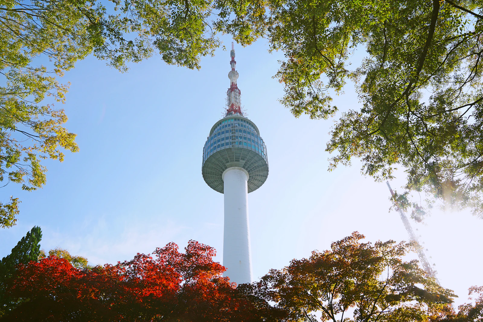 Seoul, South Korea photo 18 by Joshua Delica