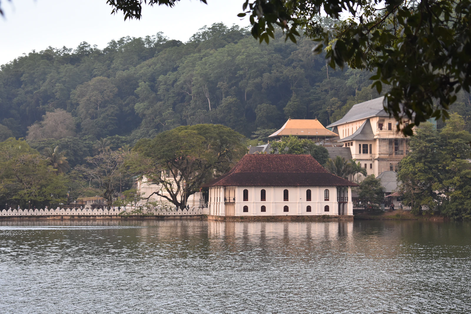 Kandy, Sri Lanka photo 22 by Polina Kocheva