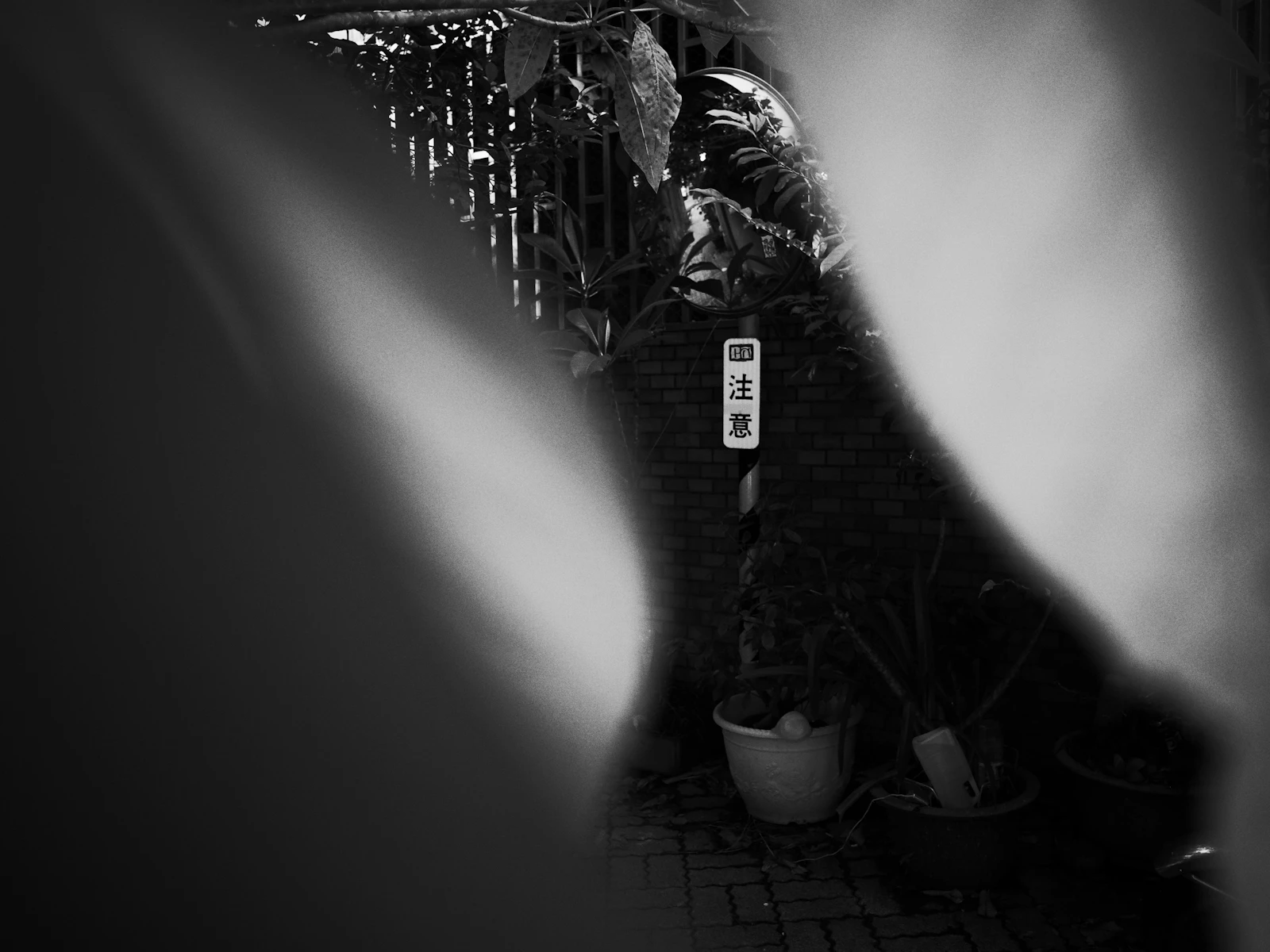 Tainan, Taiwan photo 28 by Elaine Chan