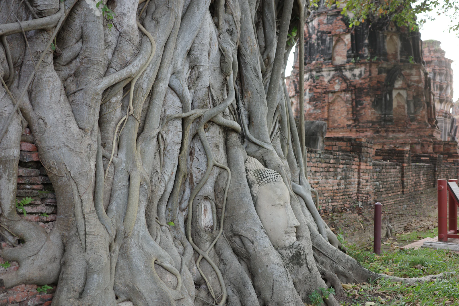 Ayutthaya, Thailand photo 16 by Tharum Bun