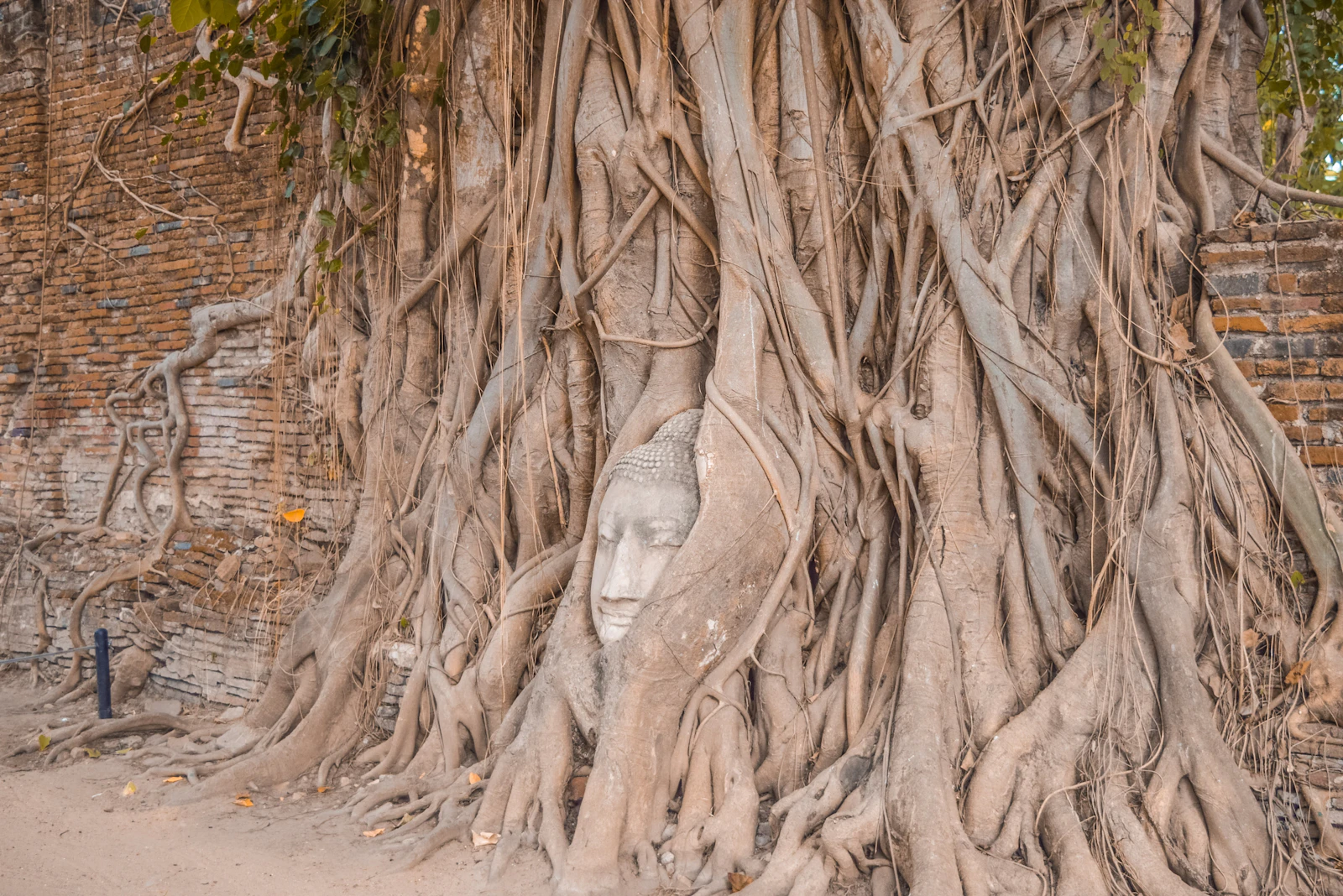 Ayutthaya, Thailand photo 30 by Alice
