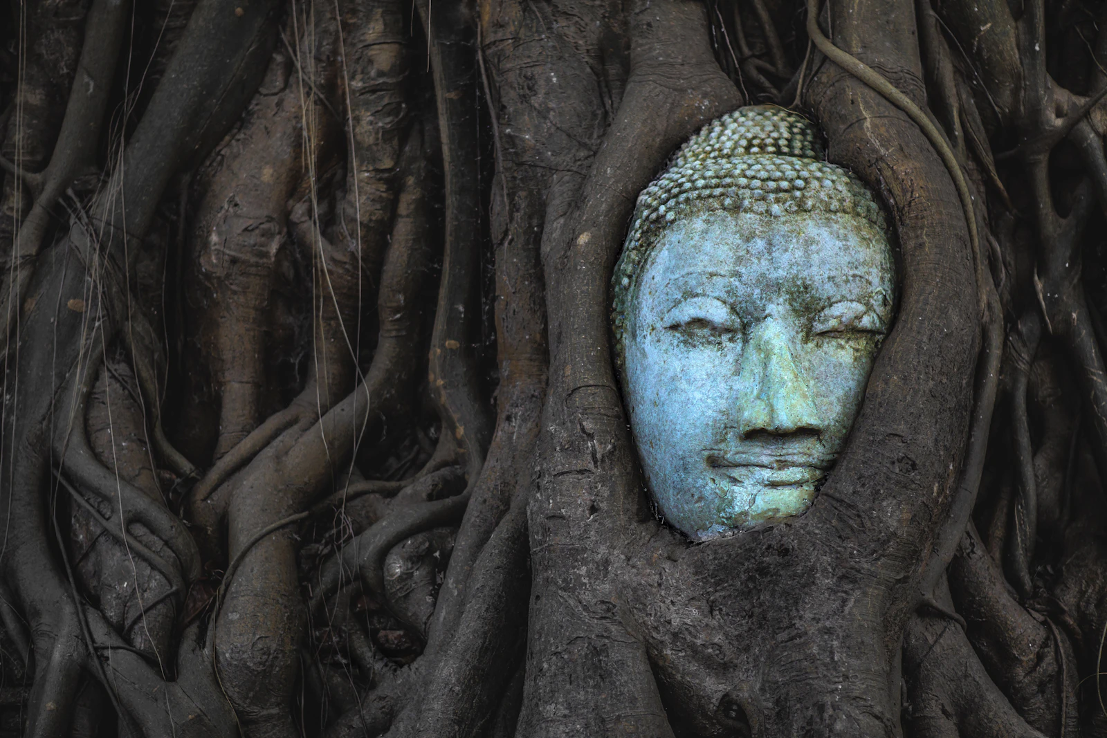 Ayutthaya, Thailand photo 26 by Marek Okon