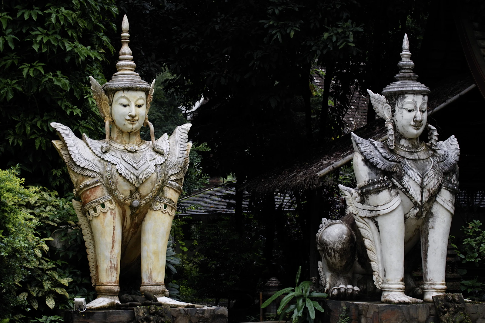 Chiang Mai, Thailand photo 26 by ray rui