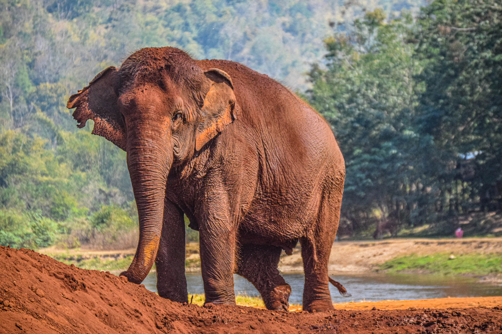 Chiang Mai, Thailand photo 8 by Joshua Steinberg