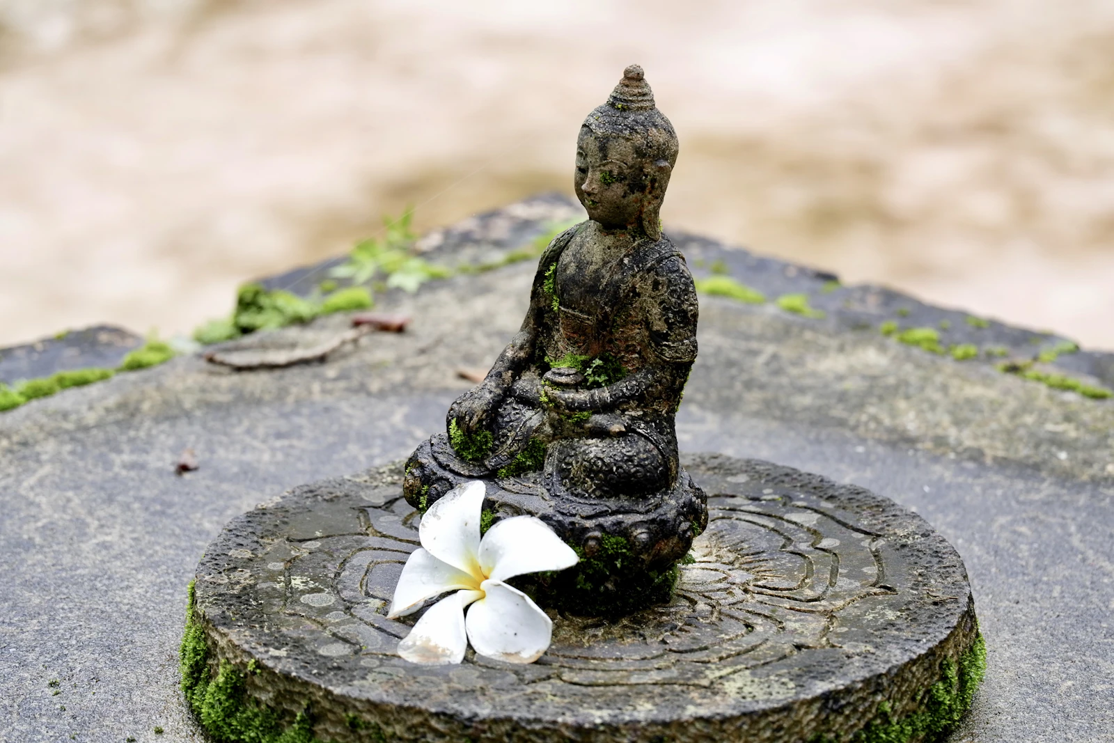 Chiang Mai, Thailand photo 23 by ray rui
