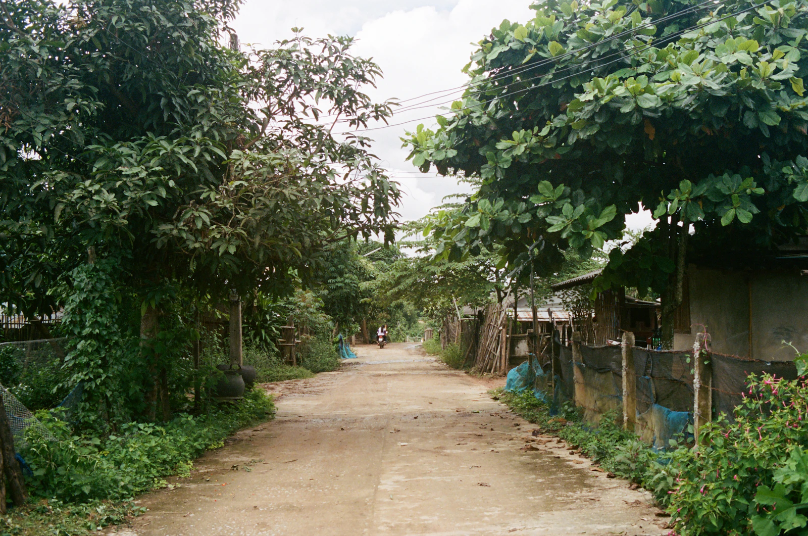Chiang Rai, Thailand photo 15 by Rach Teo