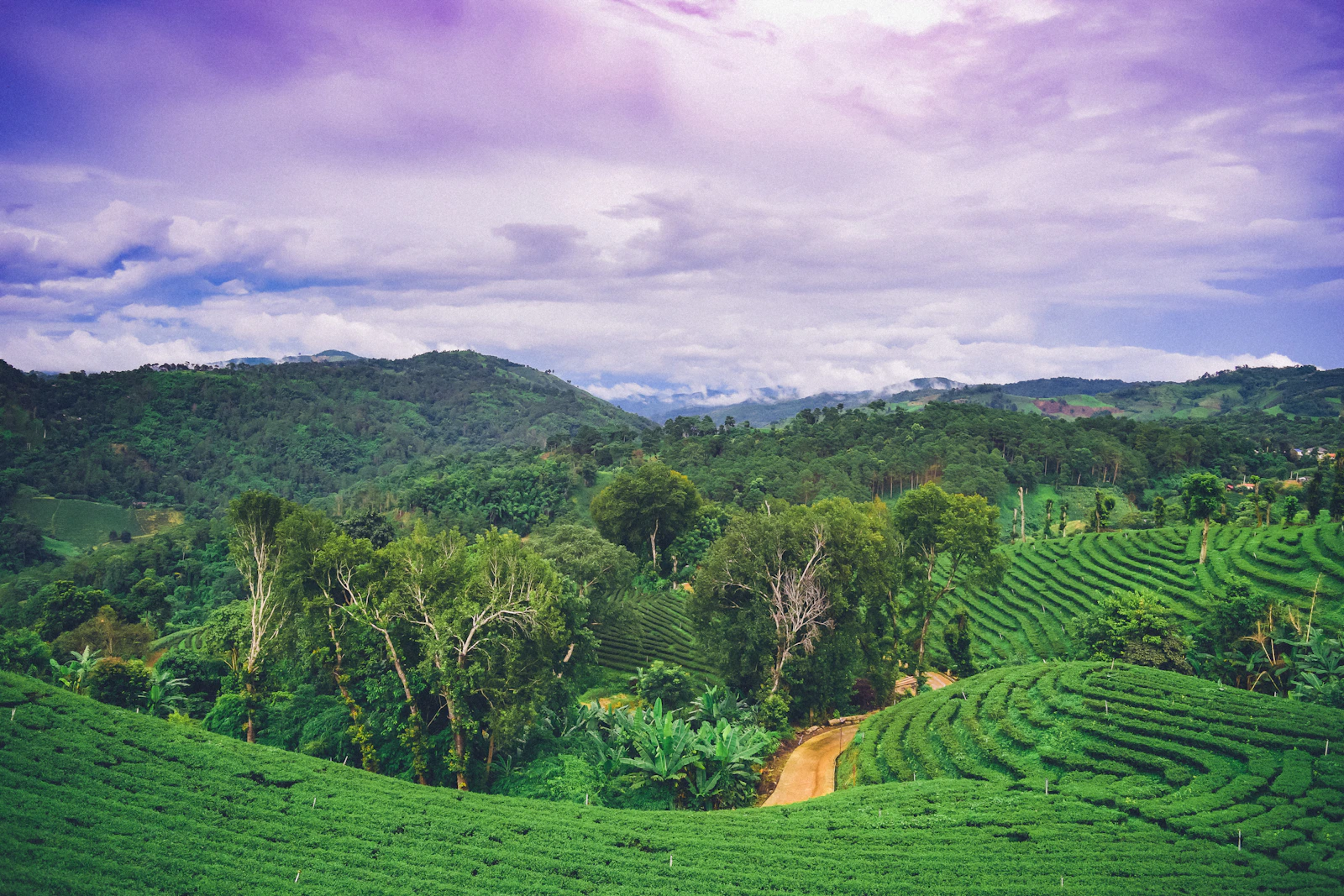 Chiang Rai, Thailand photo 18 by Nopparuj Lamaikul