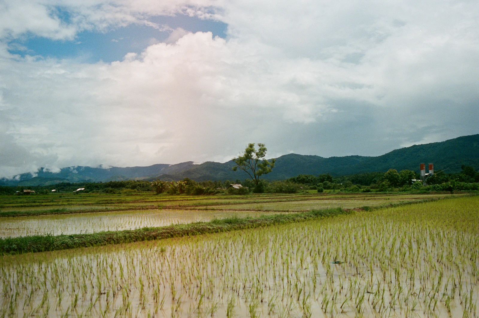 Chiang Rai, Thailand photo 11 by Rach Teo