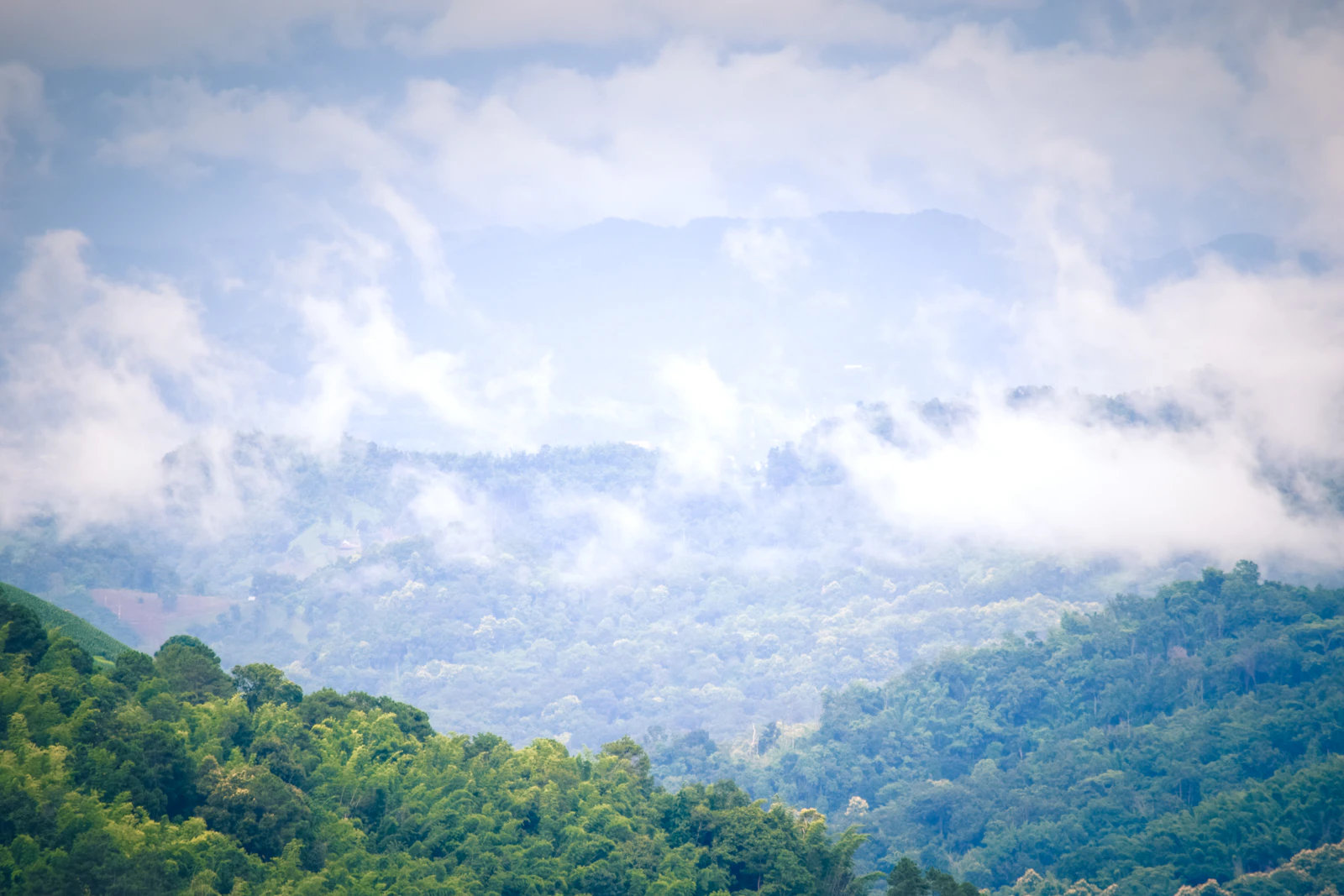 Chiang Rai, Thailand photo 20 by Nopparuj Lamaikul