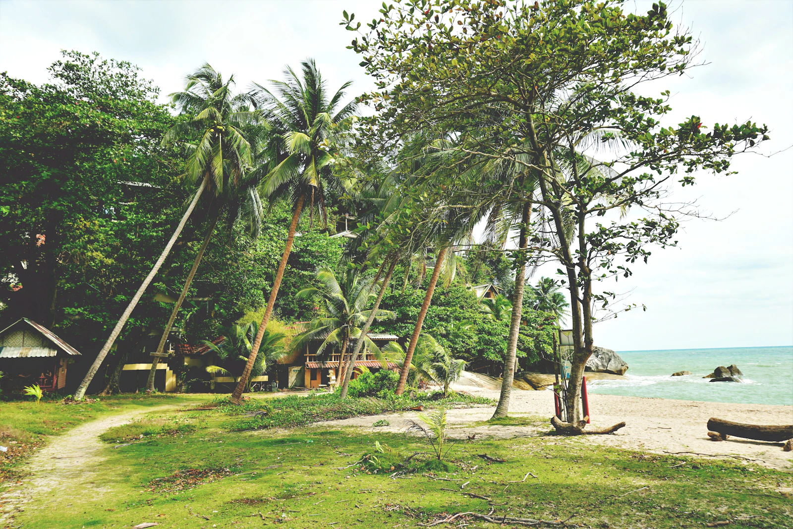 Koh Phangan, Thailand photo 26 by Tom Lorber