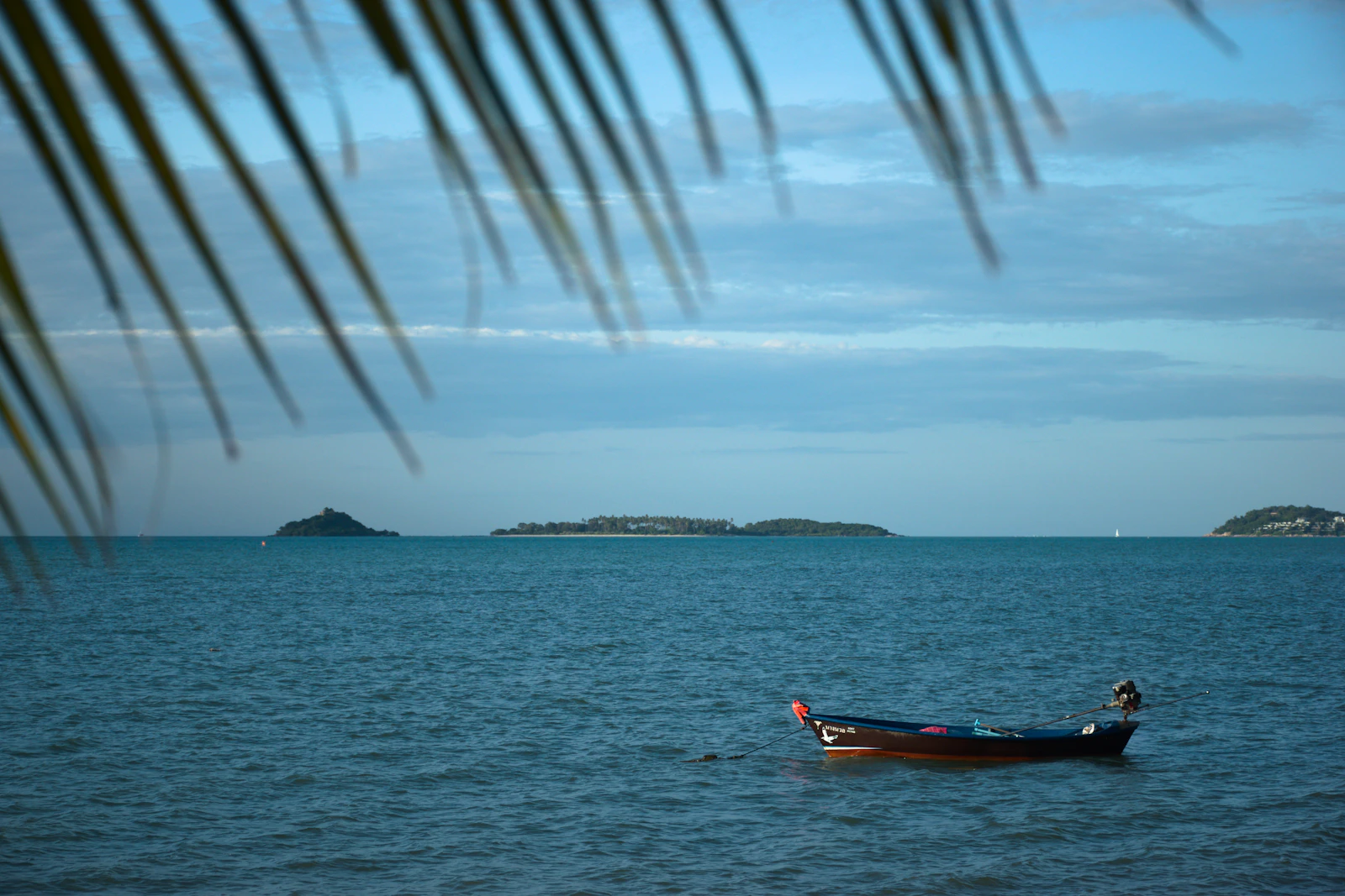 Koh Samui, Thailand photo 30 by Valeria Hutter