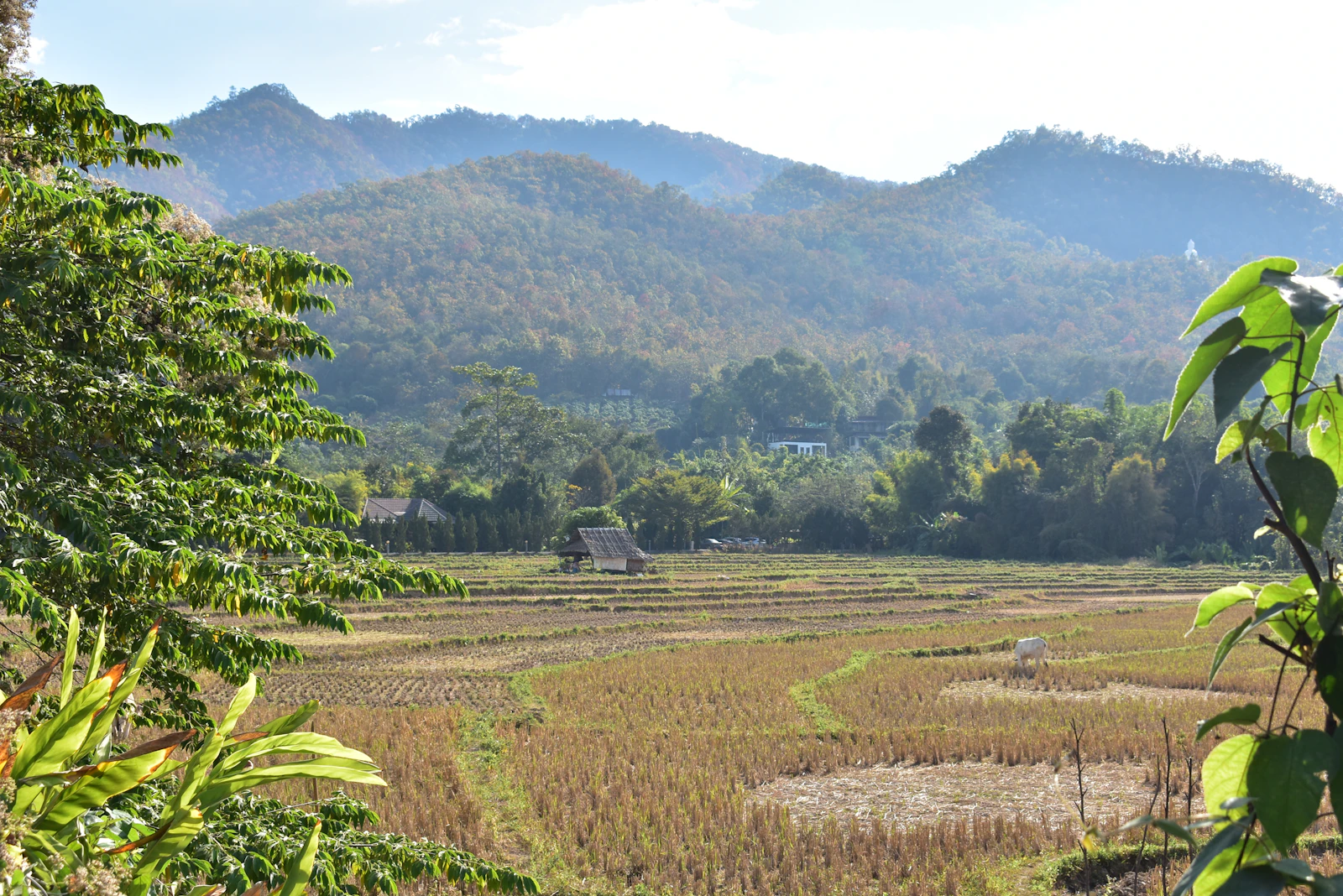 Pai, Thailand photo 11 by Polina Kocheva