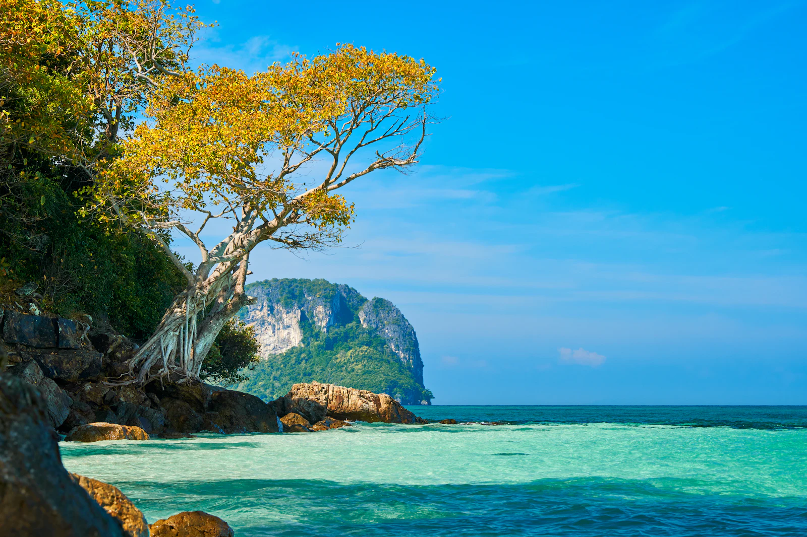 Phuket, Thailand photo 30 by Riccardo Chiarini