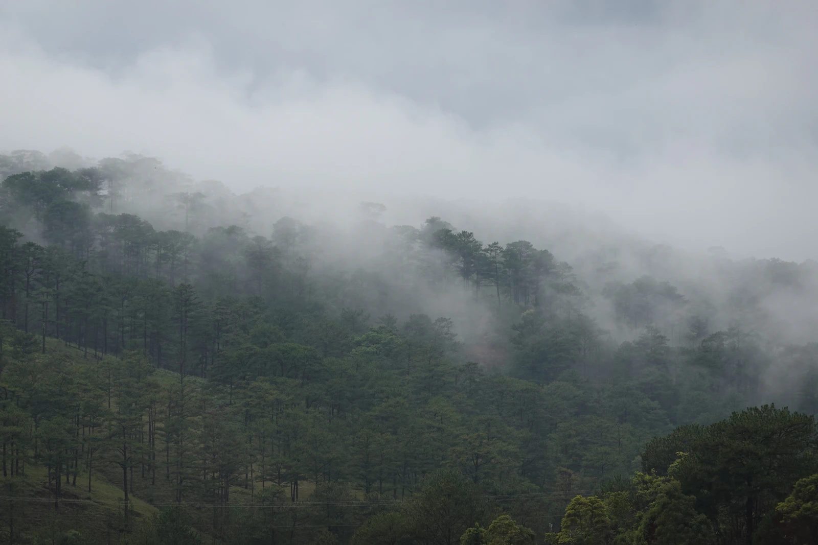 Da Lat, Vietnam photo 23 by Penfer