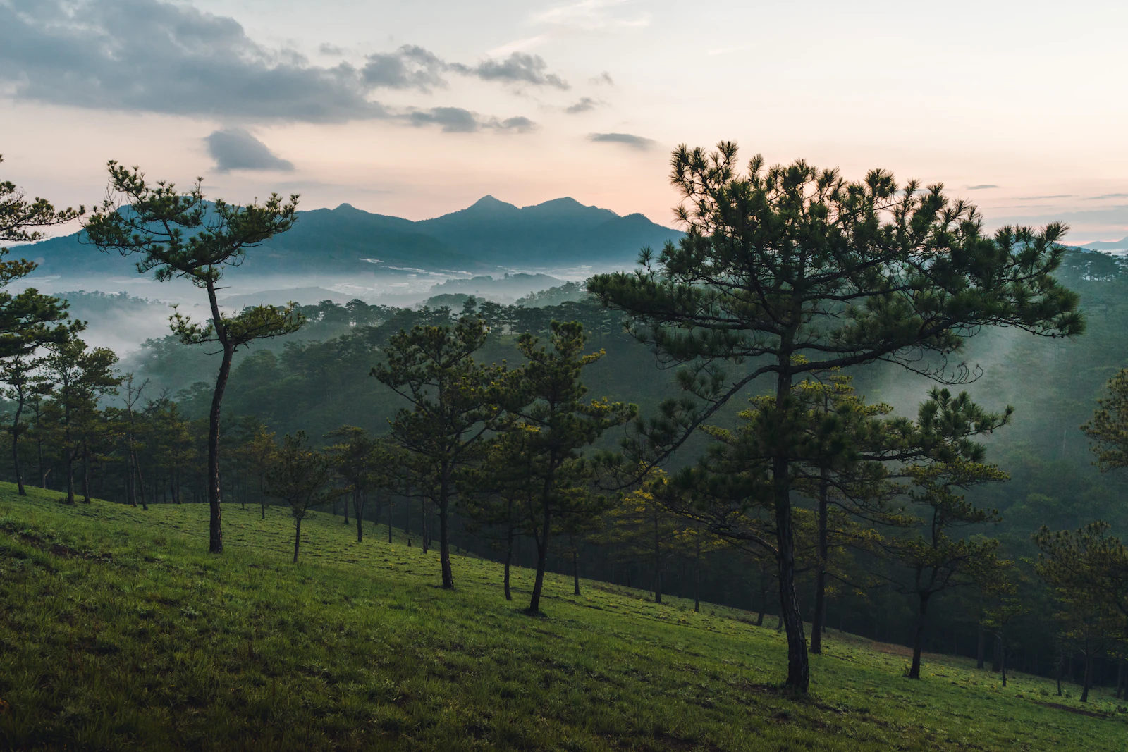 Da Lat, Vietnam photo 2 by Pete Walls