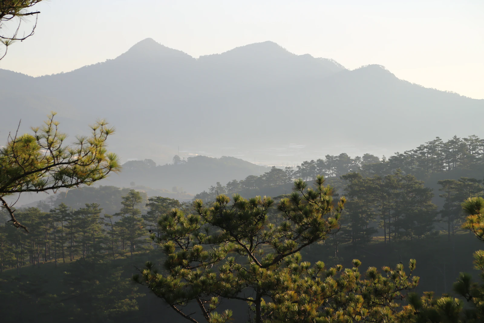 Da Lat, Vietnam photo 27 by Thủy Tạ
