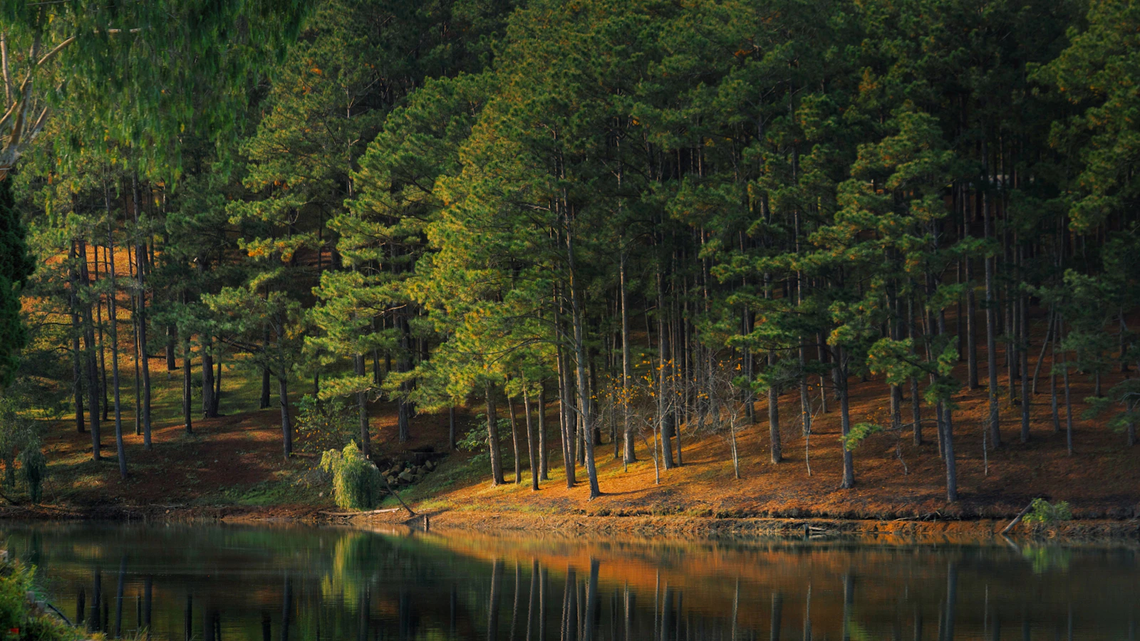 Da Lat, Vietnam photo 8 by Điệp Zader