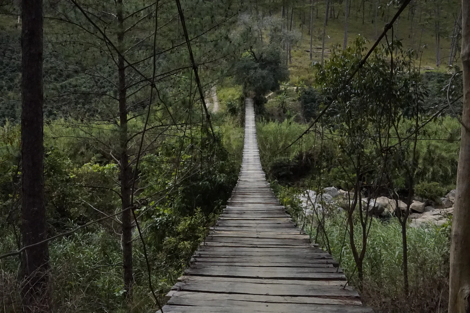 Da Lat, Vietnam photo 19 by Akela Biker