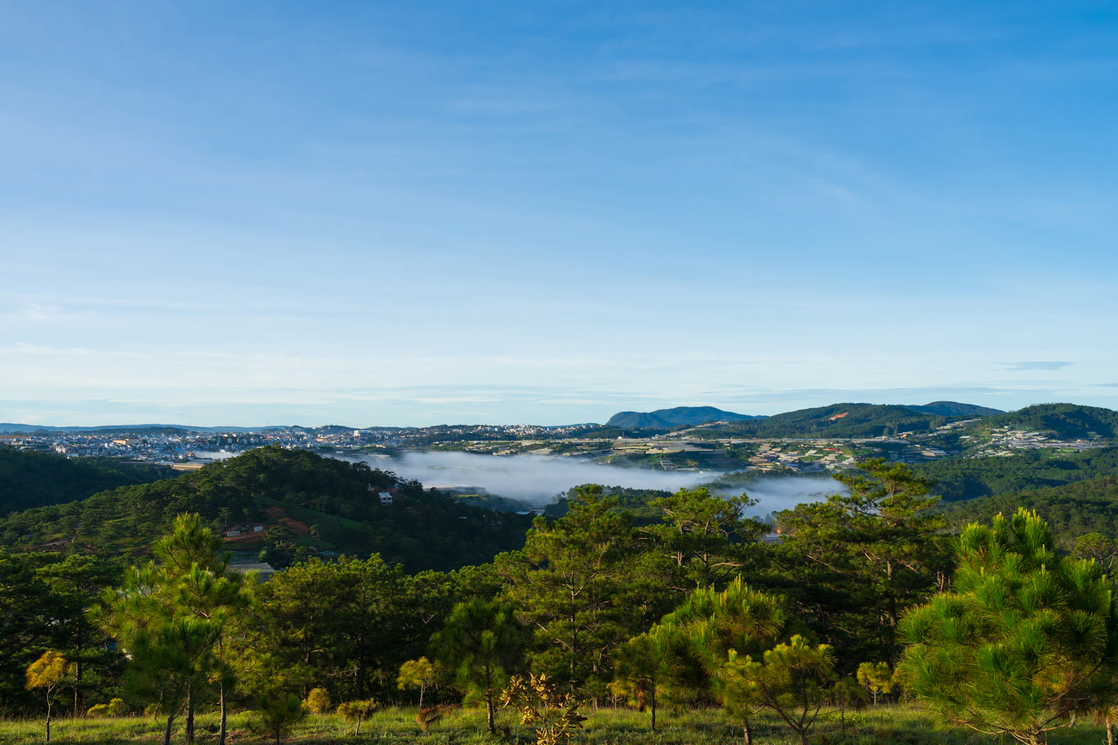 Da Lat, Vietnam photo 28 by Irish83