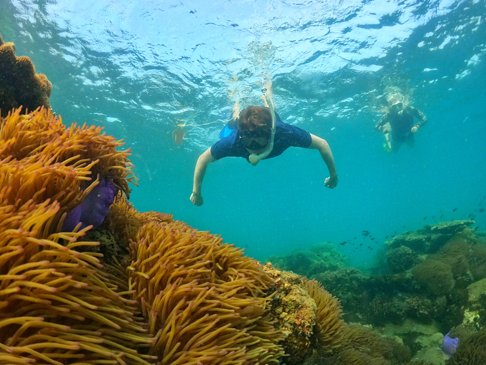 Phu Quoc, Vietnam photo 22 by OnBird Phu Quoc