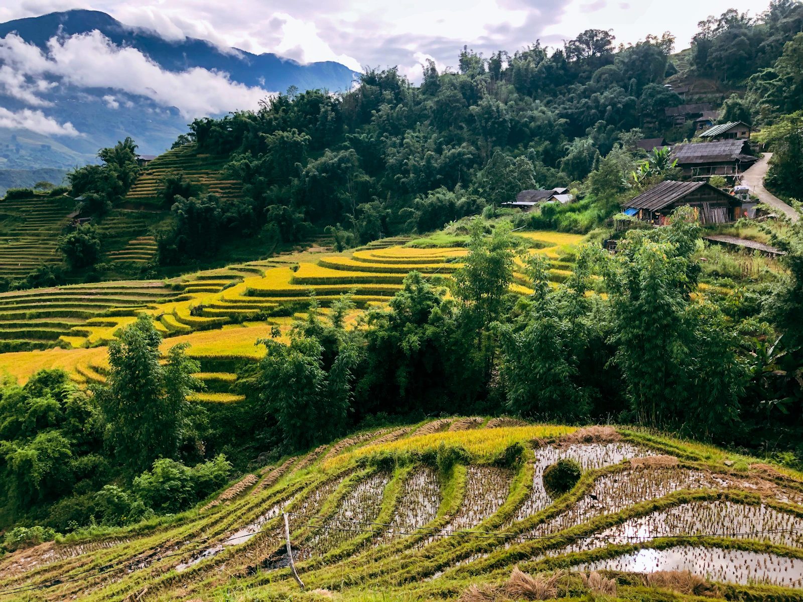 Sapa, Vietnam photo 4 by Damien Kopp