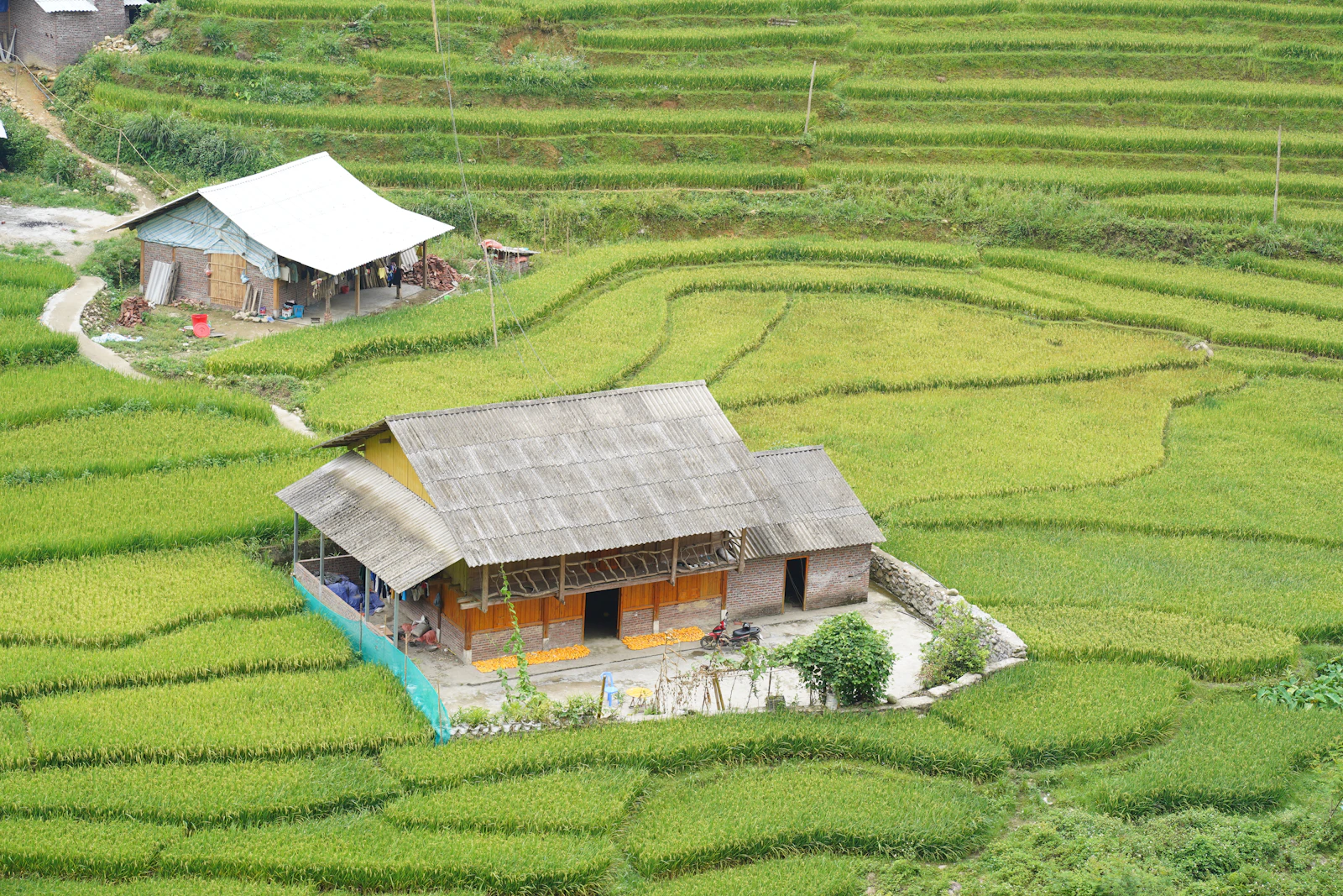 Sapa, Vietnam photo 29 by Can Pham