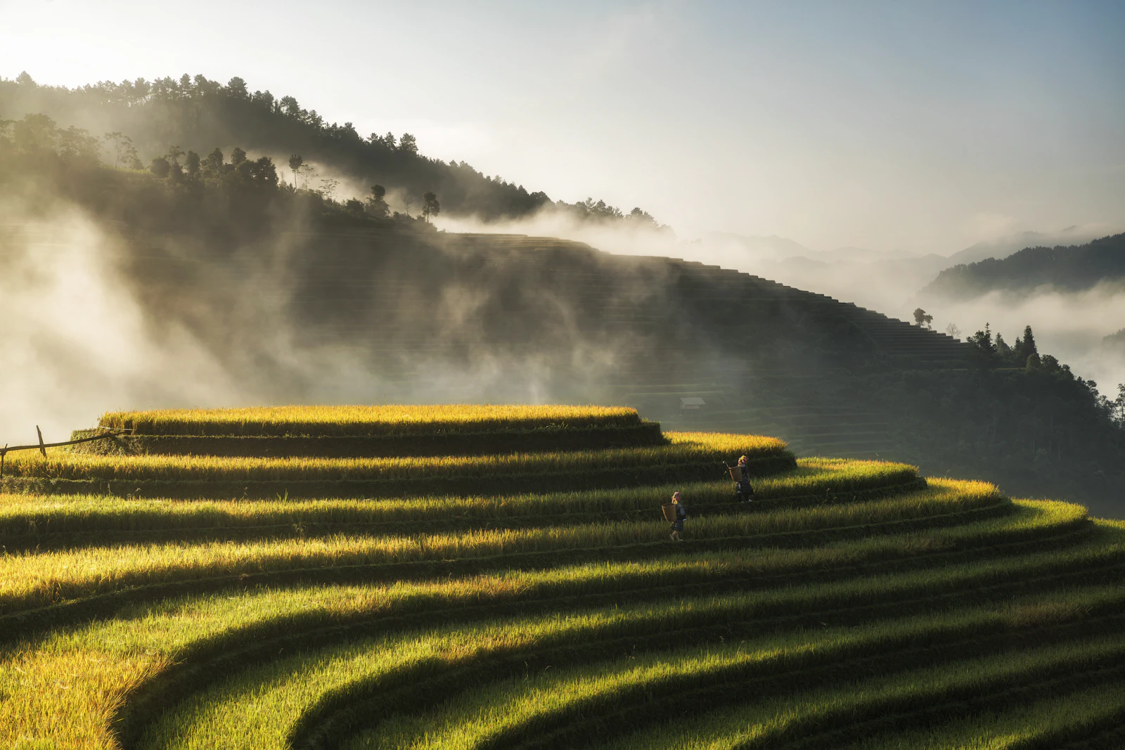 Sapa, Vietnam travel photo