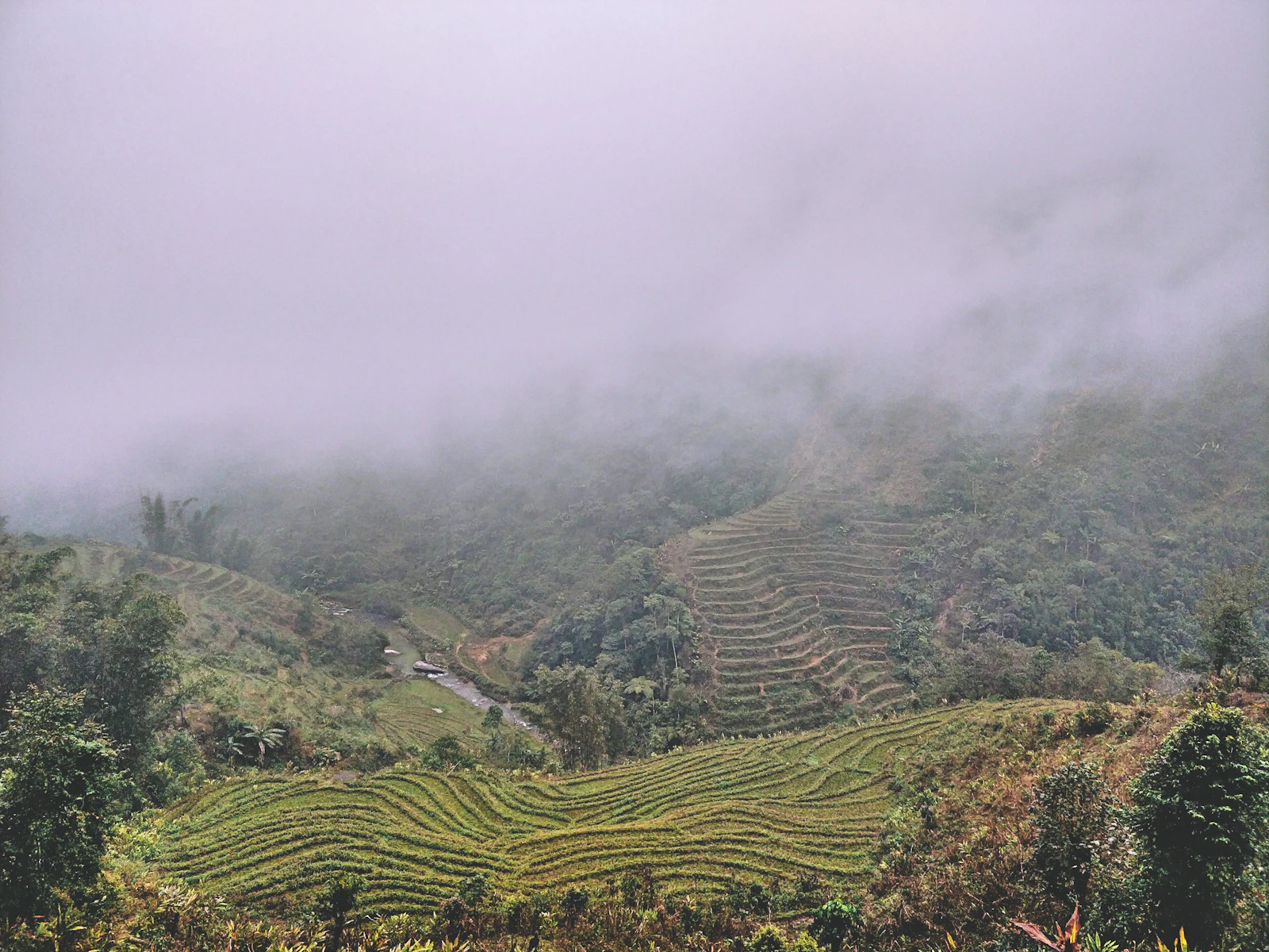 Sapa, Vietnam photo 28 by ak ledgerby