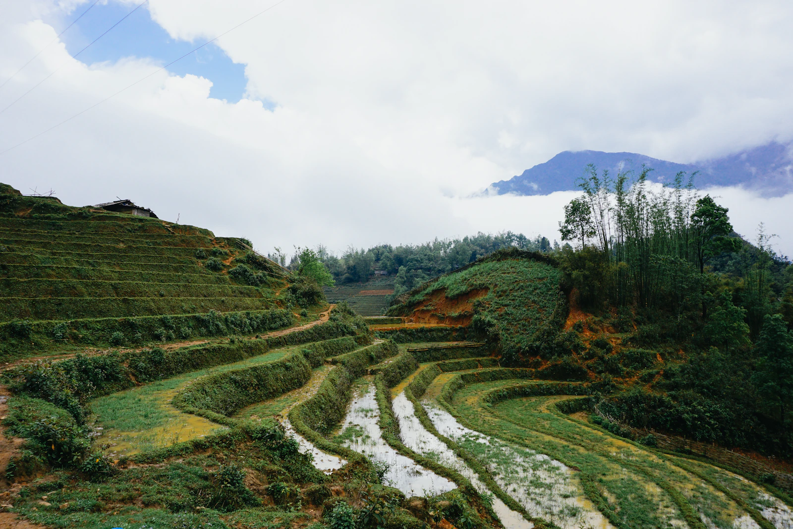 Sapa, Vietnam photo 23 by Jack Young