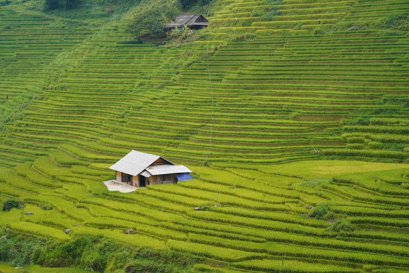 Sapa, Vietnam photo 10 by Can Pham