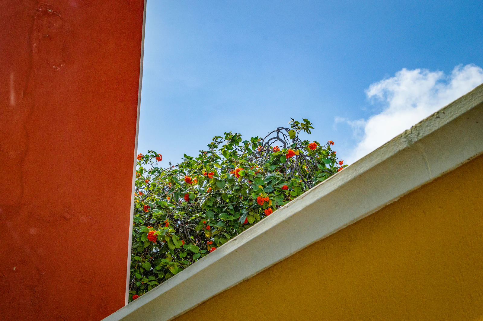 Oranjestad, Aruba photo 30 by Jamie Tudor