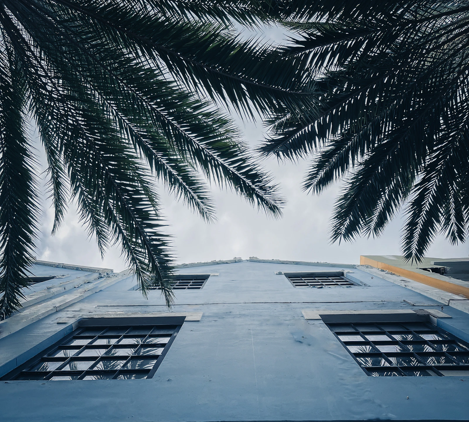 Oranjestad, Aruba photo 5 by Kathy Yarzagaray